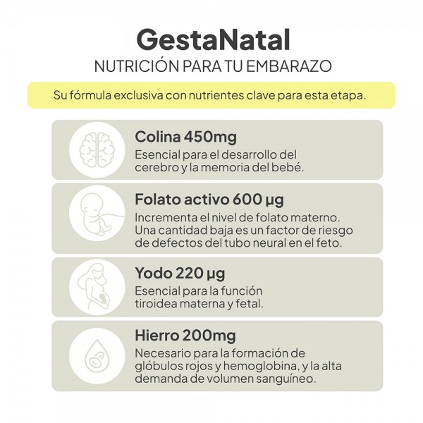 IVB GestaNatal 60 Cápsulas