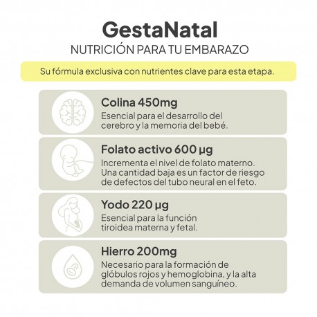 IVB GestaNatal 60 Cápsulas